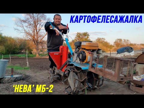 Видео: Посадка картошки мотоблоком  | картофелесажалка к мотоблоку "НЕВА" МБ-2