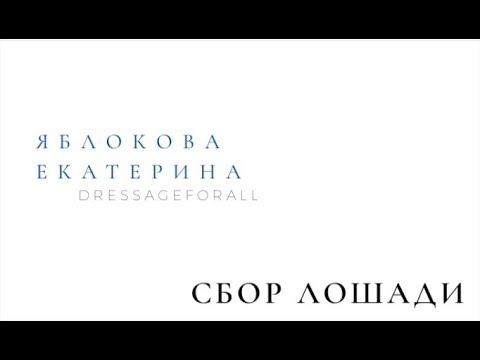 Видео: СБОР ЛОШАДИ. Как правильно работать руками.