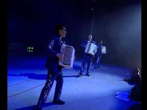 Видео: Шоу группа "Баян-Позитив"