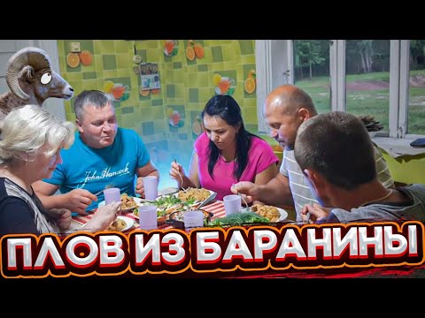 Видео: За один день одного барана съели , одного постригли и один родился . Уход за животными в выходные