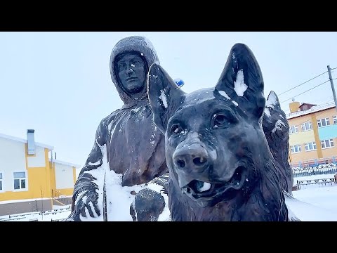 Видео: «Белоярский Буро» - верный друг каюра! | Северный колорит