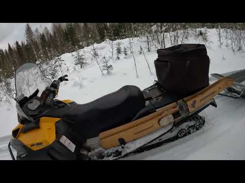 Видео: Волк не идет в тропу, ждем следующей проверки.