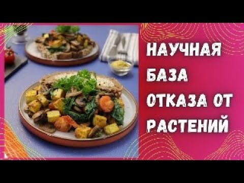 Видео: Отказ от растительной пищи. Научная база питания карнивор.