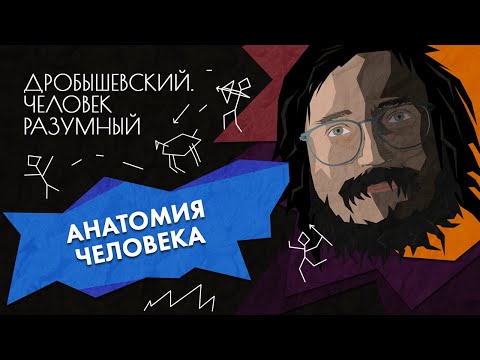 Видео: Как эволюционирует человеческое тело // Дробышевский. Человек разумный
