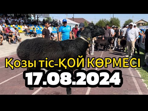 Видео: Түркістан облысы ҚОЙ КӨРМЕСІ-қозы тіс