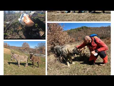 Видео: Пешеходно през ТРИ села -  (12.03.23г - Огражден Планина)