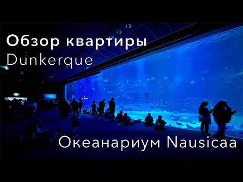 Видео: Посуточная сдача квартиры. Обзор апартаментов в Дюнкерк. Океанариум Nausicaa!