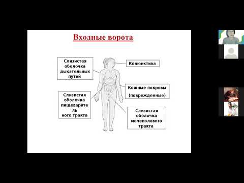 Видео: С. А. Лисовская. Учение об инфекции. Медико-биологический факульте.