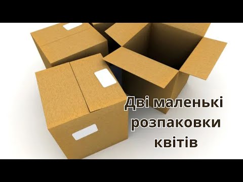 Видео: Дві маленькі розпаковки квітів.