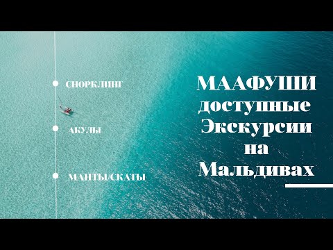 Видео: МААФУШИ# 2. ДОСТУПНЫЕ ЭКСКУРСИИ НА МАЛЬДИВАХ.