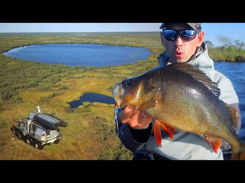 Видео: ОЗЕРО, ГДЕ НЕ ЛОВИЛИ 20 ЛЕТ! Как поймать ТРОФЕЙНОГО окуня?!