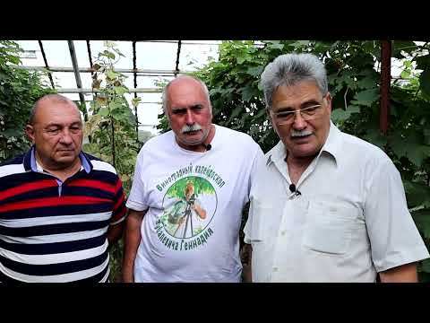 Видео: #103 В гостях у Кашича Володимира Петровича (28.08.2022)