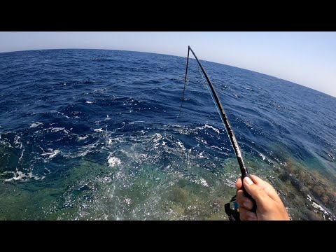 Видео: СЛОМАЛА СПИННИНГ !!! Рыбалка в Египте! Red sea fishing!
