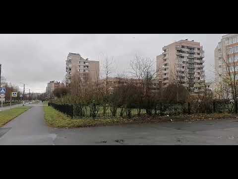 Видео: Прогулка Детскосельский бульвар Царское село +8
