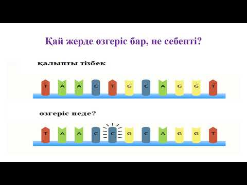 Видео: 11кл БИОЛОГИЯ.ДНҚ кездейсоқ мутациясы.Репликацияның, репарацияның, генетикалық үдерістердің қателері