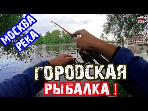 Видео: ГОРОДСКАЯ РЫБАЛКА! ЛОВЛЯ НА СПИННИНГ - Москва-река! Отводной поводок