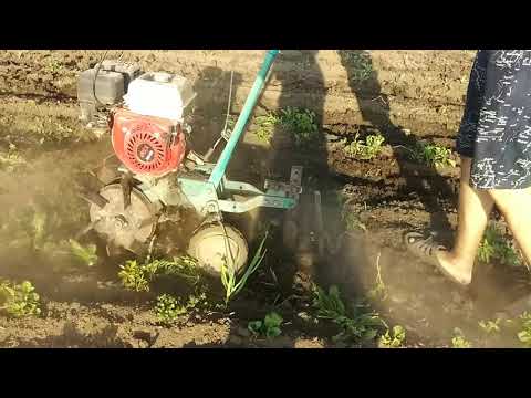 Видео: Суровый мотоблок из СССР за 5000рублей! Только хард крот на 5.5 л.с! Культиватор который может мочь