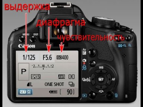 Видео: Быстрый обзор в мануальном режиме  canon 1200d