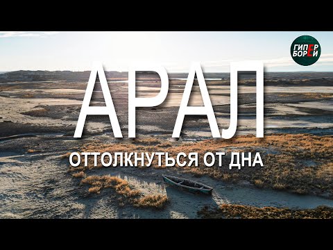 Видео: АРАЛ: Оттолкнуться от дна. День саксаула – ГИПЕРБОРЕЙ. Специальный репортаж