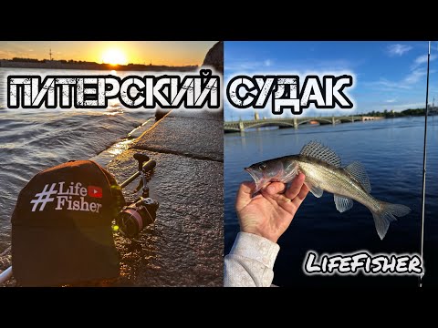 Видео: Питер. Нева. Джиг. Судак. 1 серия. Ловля судака в центре Санкт Петербурга на реке Нева.