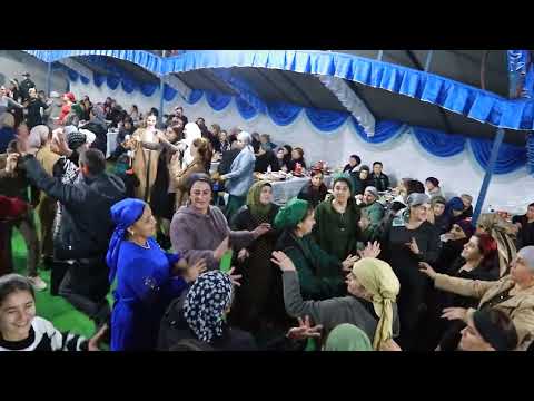 Видео: свадьба Халид и Лейла Потапов 3 часть 17.11.2023