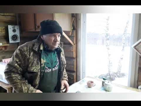 Видео: Продали пасеку☹