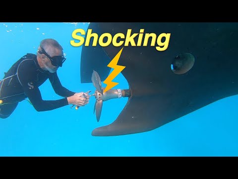 Видео: Алюминиевая парусная лодка, часть 18 — Береговое электропитание. БЕЗОПАСНОСТЬ и ЭЛЕКТРИЧЕСТВО на ...