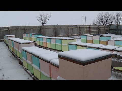 Видео: Зима пришла состояние вентиляции в ульях, пасика зимой
