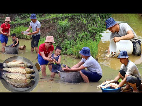 Видео: Поймать крупную рыбу,выпустить рыбу в новый пруд, как сохранить рыбу и устроить уютный семейный ужин