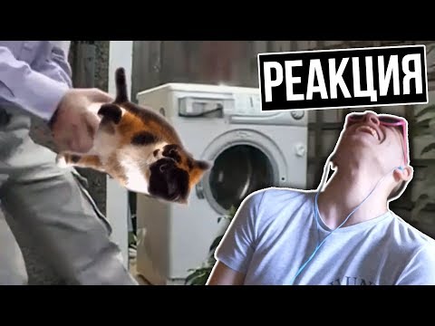 Видео: РЕАКЦИЯ ТЕОРИЯ БОЛЬШОГО ЛАЙФХАКА от СЛИВКИ ШОУ ||RYTP\\