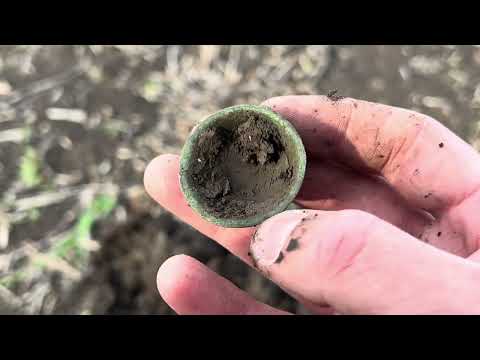 Видео: Поле радує знахідками