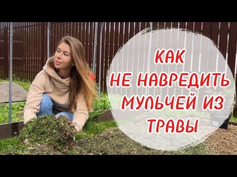 Видео: МУЛЬЧИРОВАНИЕ СКОШЕННОЙ ТРАВОЙ: не всё так просто. Как использовать правильно