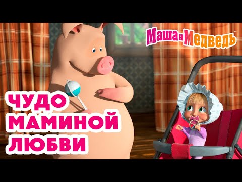 Видео: Маша и Медведь 🤱 Чудо маминой любви 🥰 💝 Коллекция любимых серий про Машу 🎬 Час мультиков!