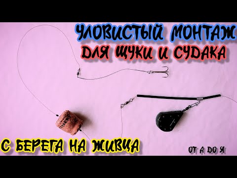 Видео: ЩУКА И СУДАК ! Уловистый монтаж от А до Я для ловли на ЖИВЦА с берега🔥🔥🔥#щука #судак #живец #рыбалка
