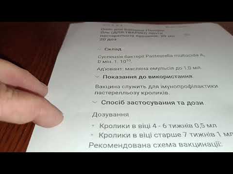 Видео: Хвороба кроликів пастерельоз. Чи варто вакцинувати від пастерельозу кролика.