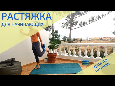 Видео: Растяжка для начинающих. Разбор техники основных упражнений на развитие гибкости и снятия напряжения