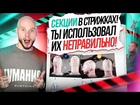 Видео: Какие секции бывают в стрижках? В чем разница? Что дают?