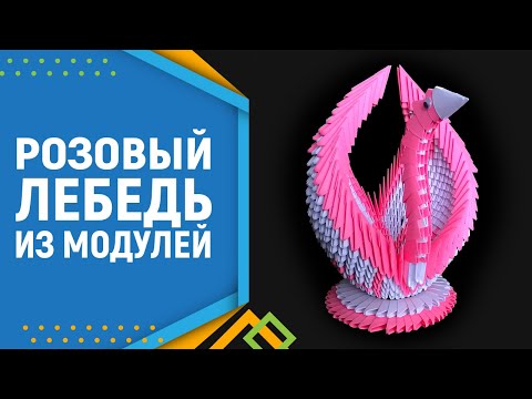 Видео: Лебедь в розовом | Как сделать оригами лебедя. Модульное оригами лебедь,