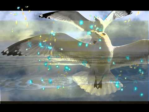 Видео: Белая фата.wmv