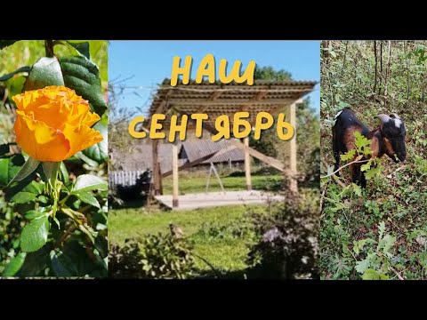 Видео: Наши деревенские заботы/ Симпатичный гость/ Немного стройки