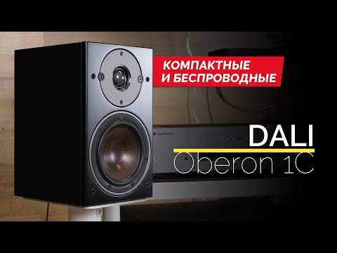 Видео: Активные и беспроводные полочники DALI Oberon 1C