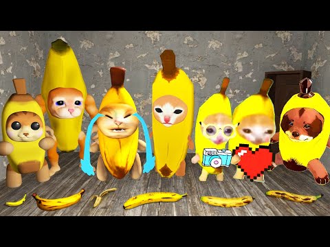 Видео: ВСЕ ВИДЫ БАНАНА КОТ КАЧОК МУЛЬТЯШНЫЙ ПЛАКСА В ГРЕННИ ОНЛАЙН - Banana Cat Meme Garry's Mod !
