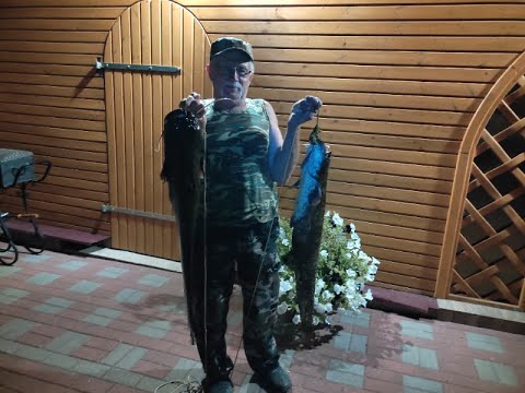 Видео: Рыбалка в Латгалии. Сом на троллинг и квок.