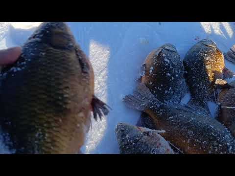 Видео: Еду за карасями.