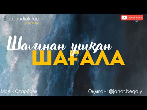 Видео: Шамнан ұшқан шағала. Мәлік Отарбаев