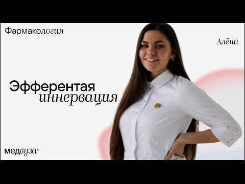 Видео: Эфферентная иннервация | Холиномиметики и холиноблокаторы | Фармакология