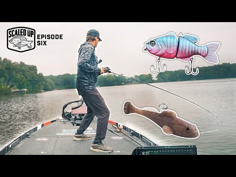 Видео: Ловлю только на БОЛЬШИЕ приманки для вялого окуня! («Scaled Up», эпизод 6)