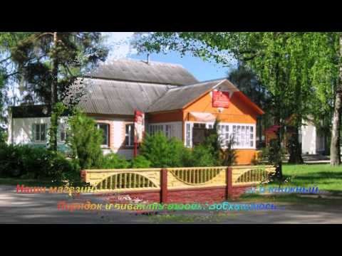 Видео: Быхов-Воронино