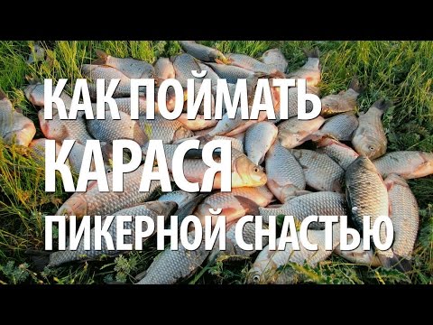 Видео: КАК ЛОВИТЬ КАРАСЯ на ПИКЕР