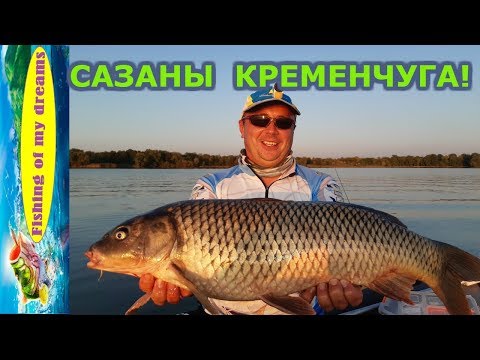 Видео: Катушки на ПРЕДЕЛЕ!!!Сазан ЛЮТУЕТ!!!Кременчуг 2019!!!